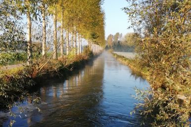 Am Boker Kanal am Morgen | Regina Brauckmann